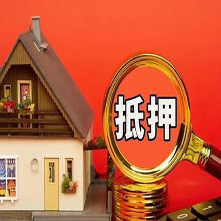 白茅湖农场贷款买房后可以提前还部分本金吗?